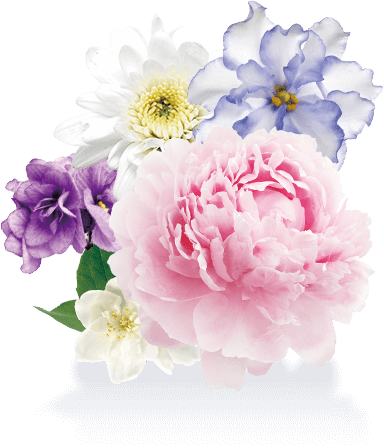 お湯物語 贅沢泡とろ プレミアム 入浴料 ピオニー＆ホワイトムスクの香り 1包/40g